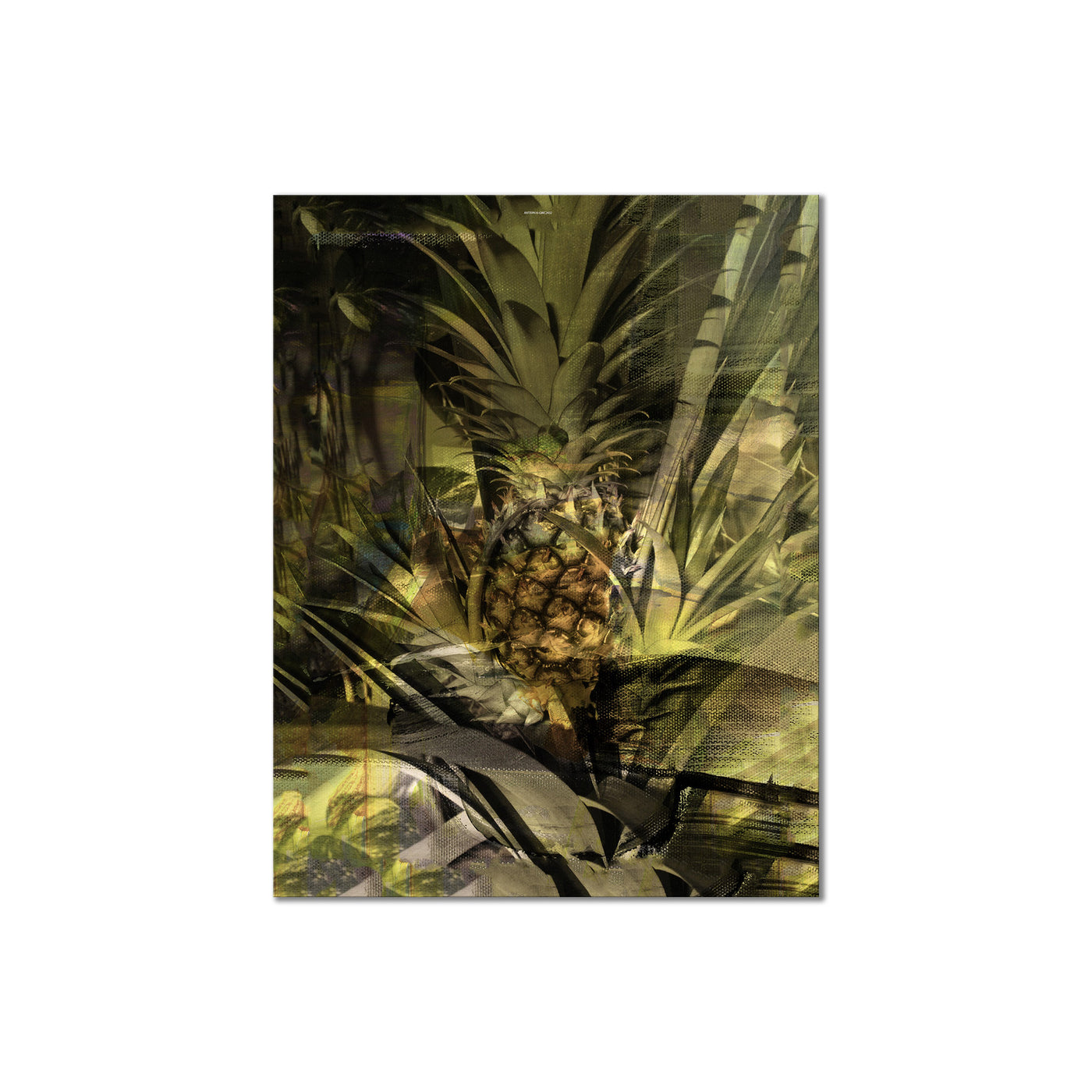 Pineapple Abstraction