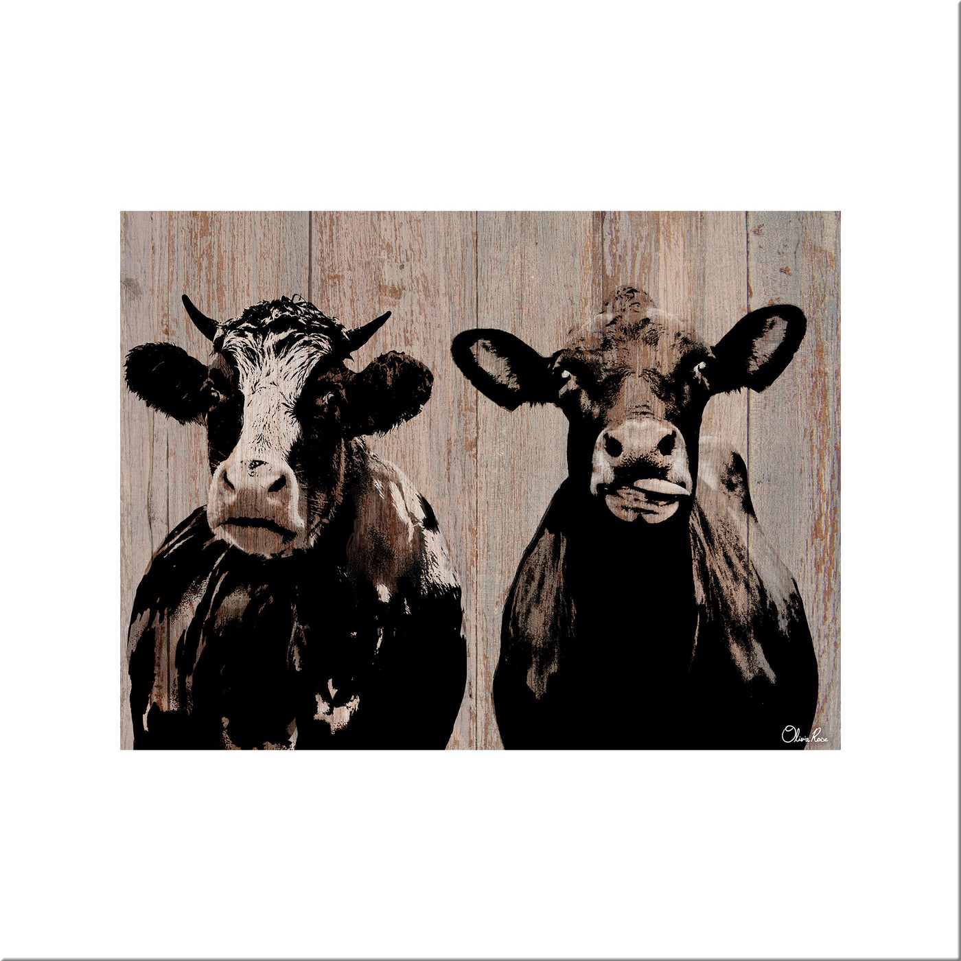 Cow Duo