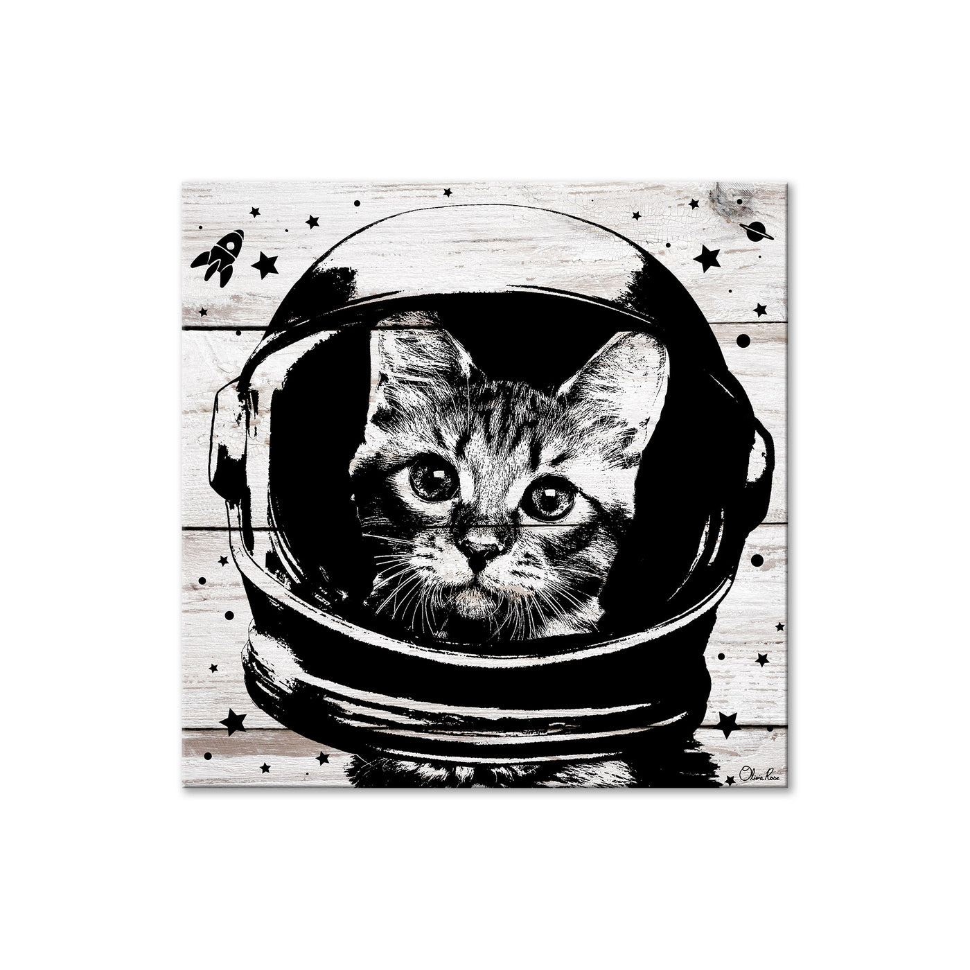 Space Cat